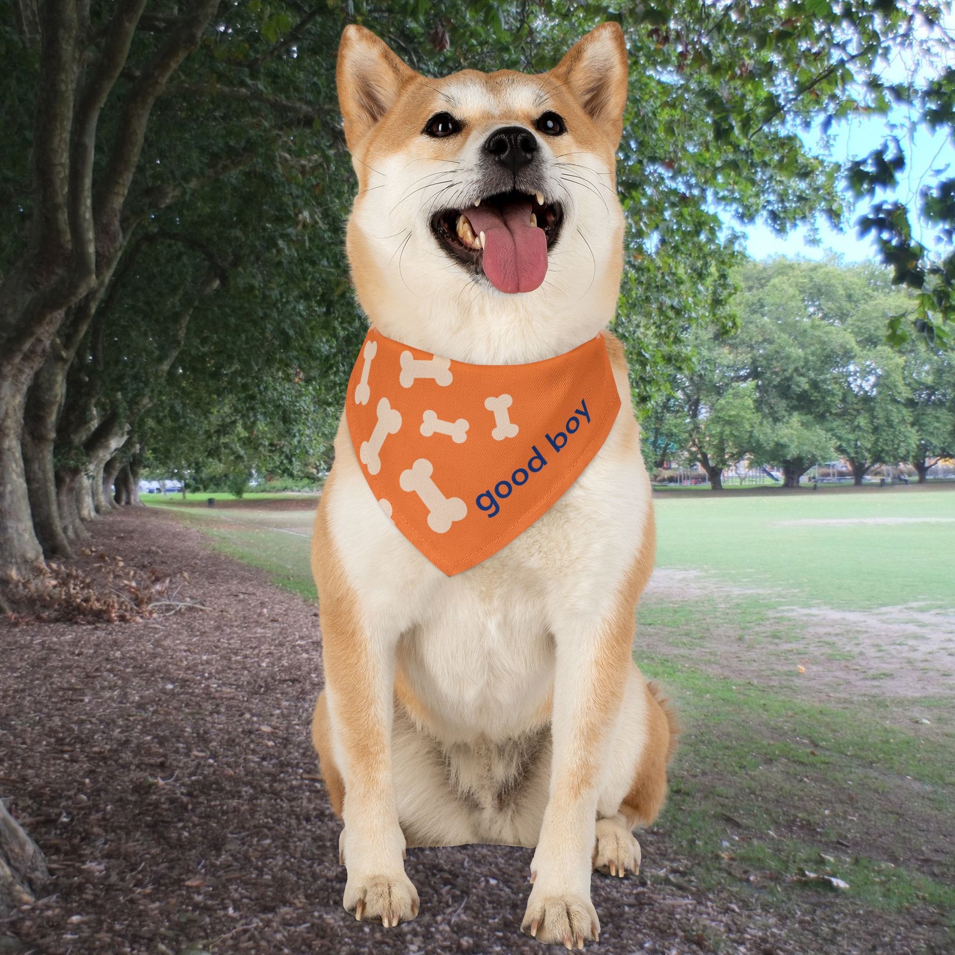 'Good Boy' Bones Pet Bandana Collar