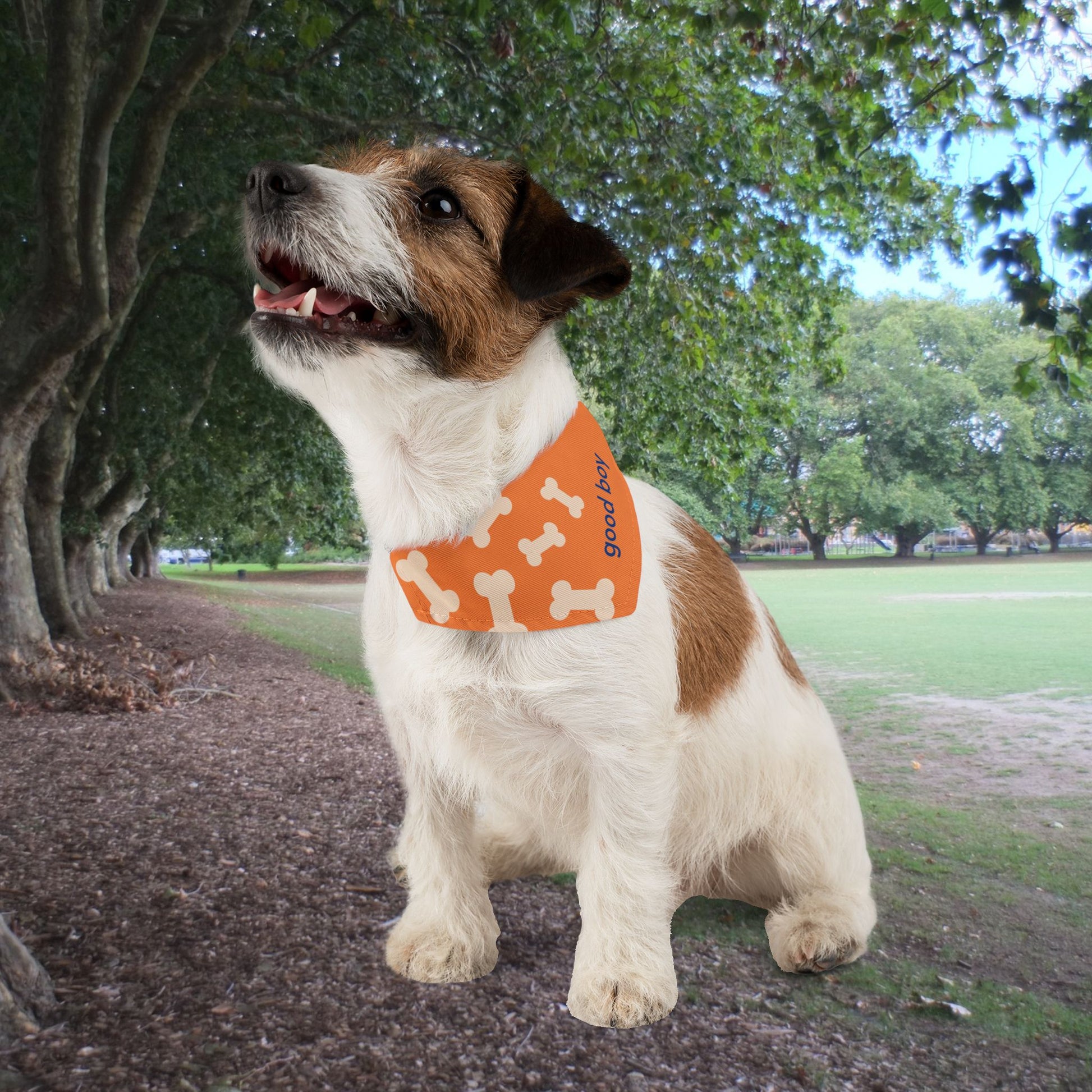 'Good Boy' Bones Pet Bandana Collar