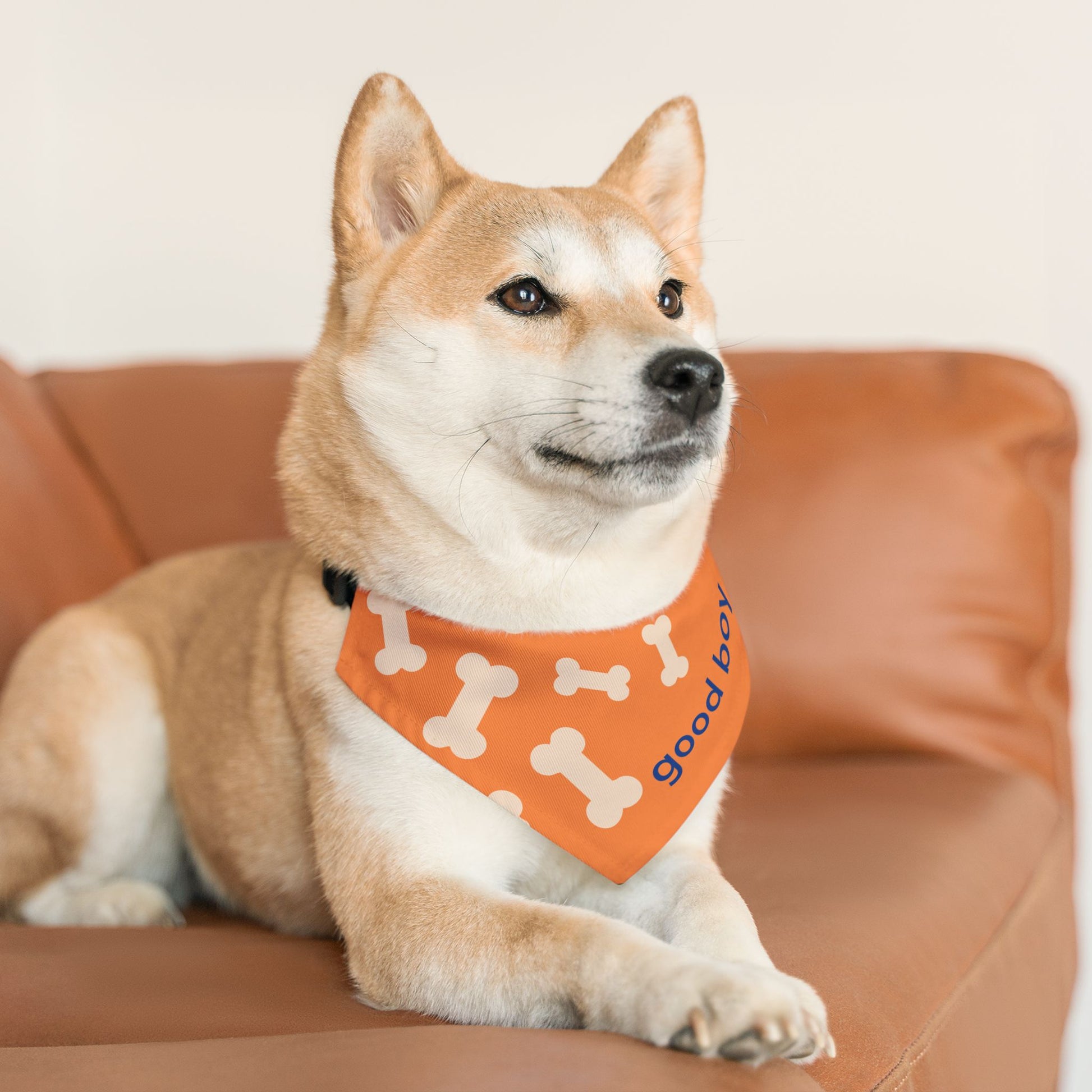 'Good Boy' Bones Pet Bandana Collar