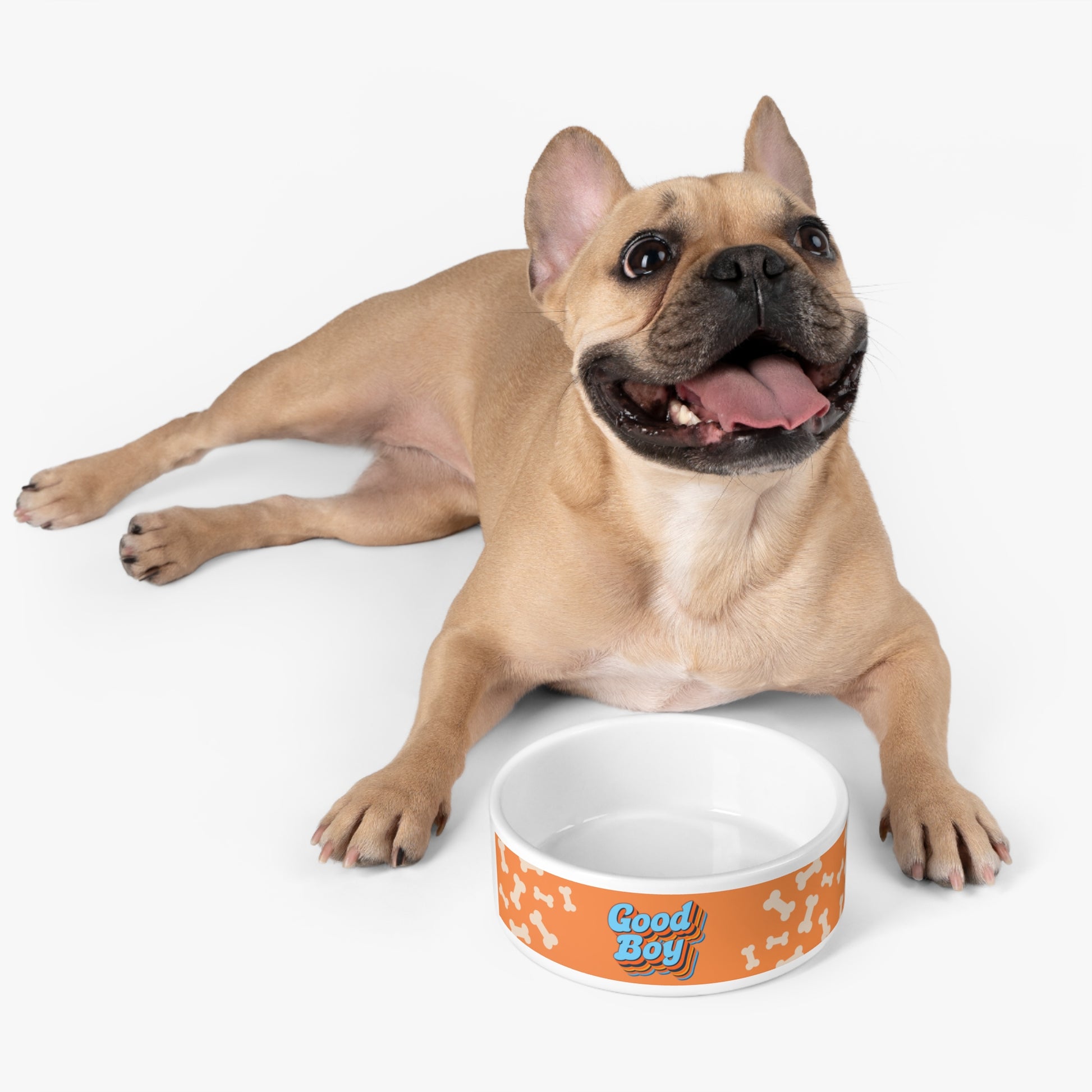 Bones Pet Bowl - food or water